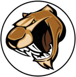 Croydon Cougars Basketball Club