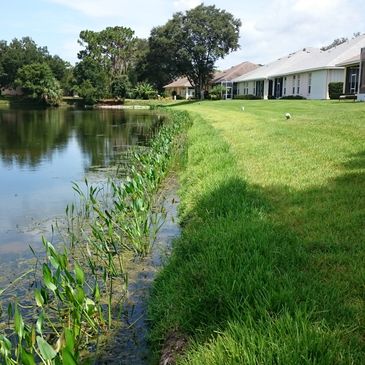 Shoreline repair