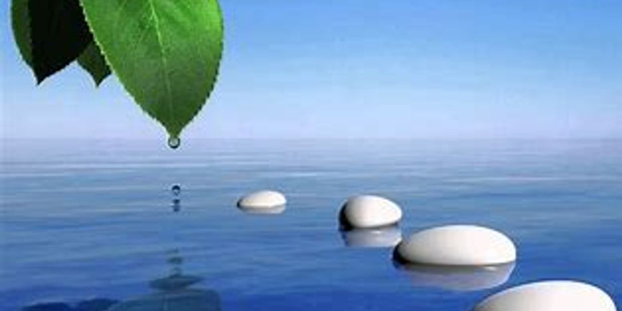 A leaf dripping water onto smooth stones in a calm blue water setting.