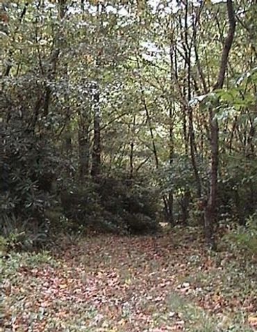 Meadows Of Dan River Walk Cabins Gallery Photographies