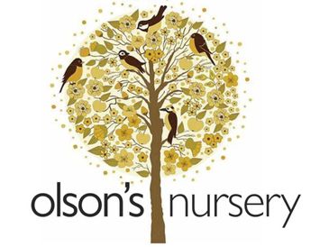 Olson's Nursery Logo