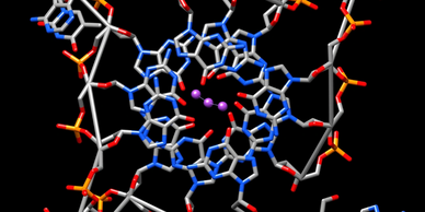 Guanine Quadruplex