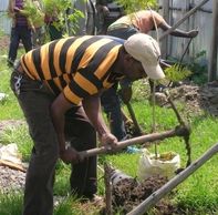 Trees provide beauty and shade at the new school and women's center. Your donations pay for tree see