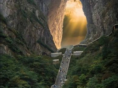 A large natural cave opening with a road leading inside, surrounded by greenery.