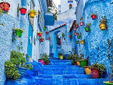 Blue-painted narrow street with colorful flower pots on walls and stairs.