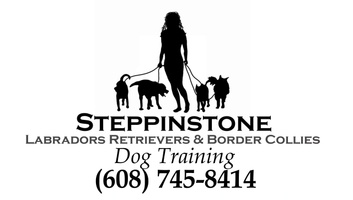 Steppinstone Dog Training and Labradors