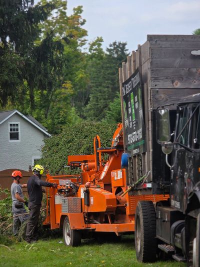 Crew feeding branches into a wood chipper on a tree service job site.
