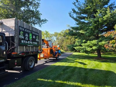 Truck and wood chipper on a tree service job site.
