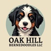 Oak Hill Bernedoodles LLC