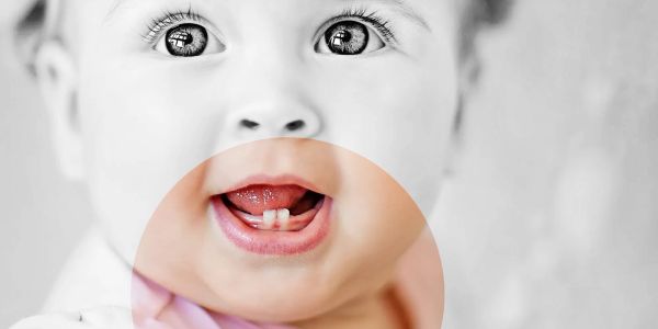 Close-up of a baby showing its first two teeth with magnified focus.