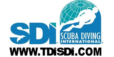 Logo of Technical Diving International with tanks and globe.