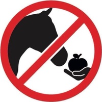 Stop Feeding Our Horses