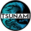 Tsunami MMA
