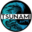 Tsunami MMA