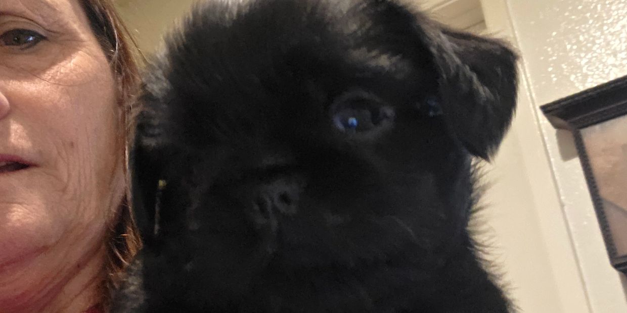 A person holding a small black puppy indoors.