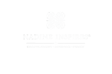 Nadine Inspires✨