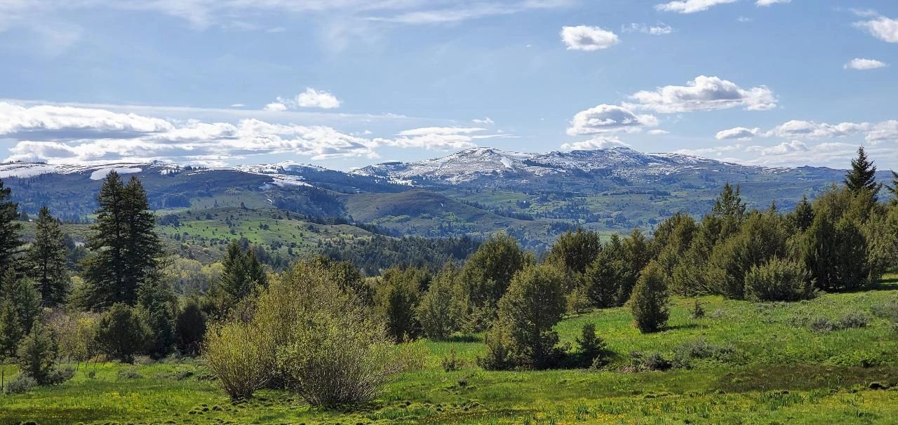 Owyhee Medical Staffing, LLC