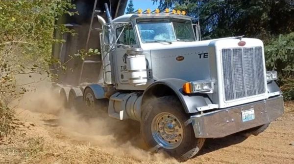 White semi-truck driving on dusty dirt road in forest.