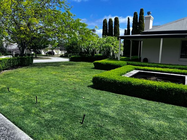 Professional lawn and garden care