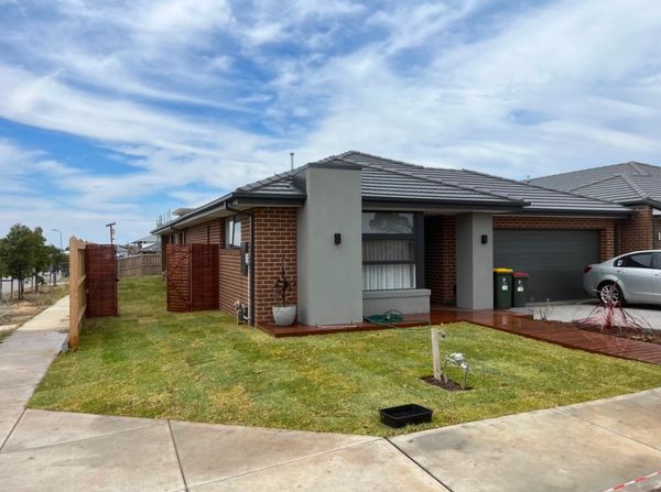 Freshly laid turf and New merbau deck and gate