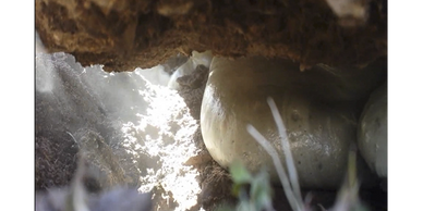 Photo of polyurethane foam under soil closeup