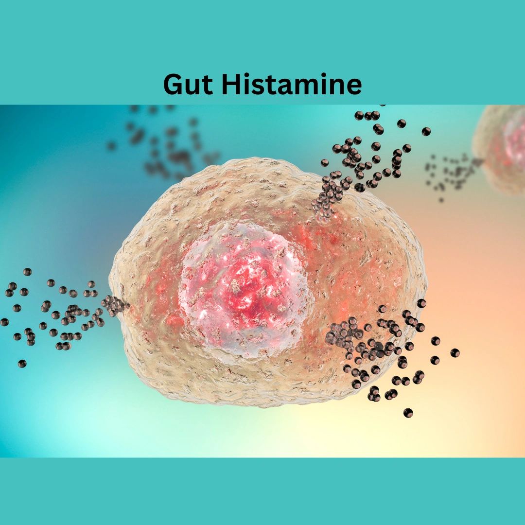 Histamine, Gut Histamine or Both?