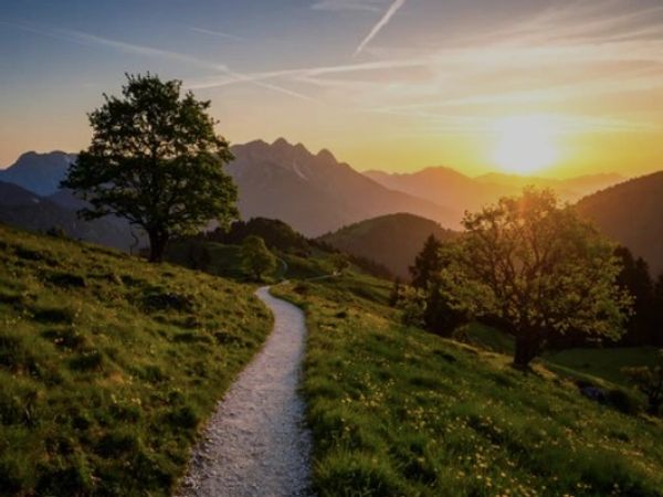 A winding path leads through grassy hills with trees at sunset.