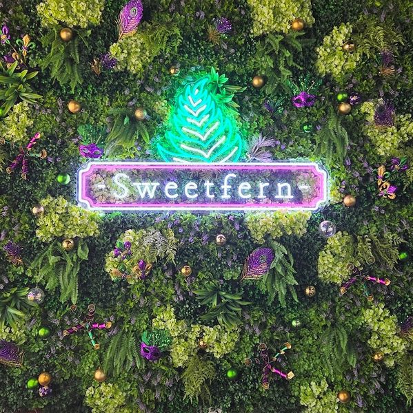 greenery wall decorated with mardi gras colors.