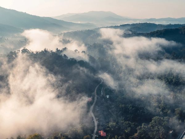 North Georgia mountains in fog