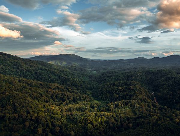 mountains of north Georgia