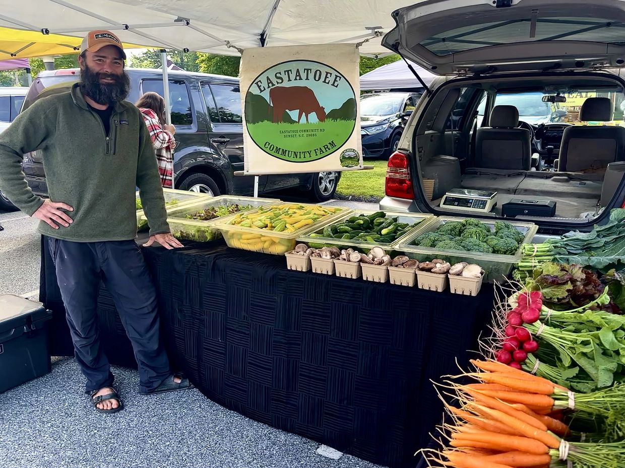 Man selling fresh vegetables at a community farm stand.