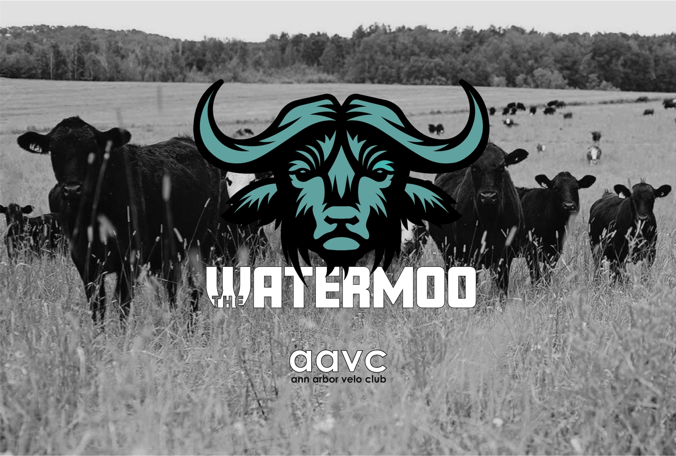 The Watermoo Gravel