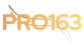 pro163pepti.com
