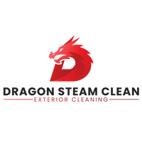 Dragon Steam Clean