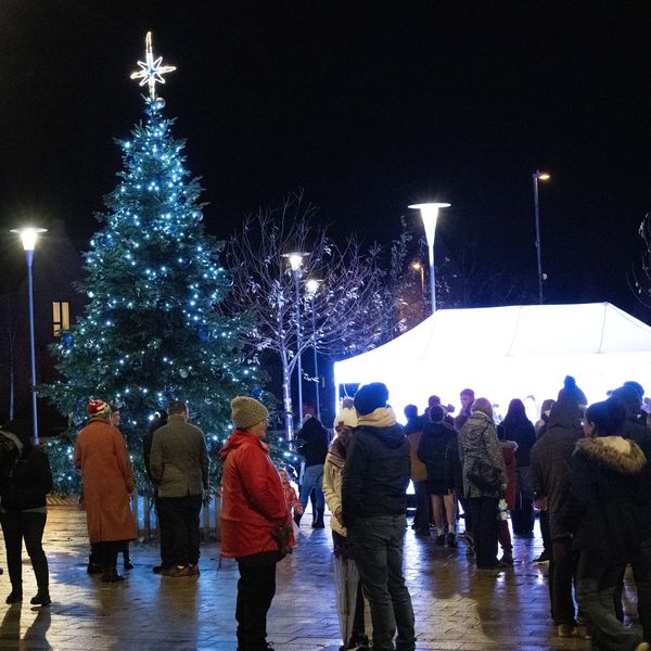 People gather around a brightly lit Christmas tree at night.