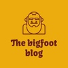 The bigfoot blog app