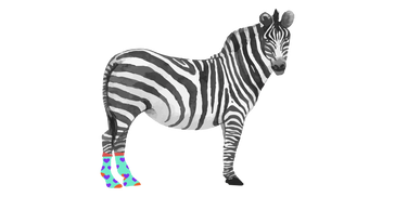 Cliquez sur l'image pour commander vos chaussettes personnalisées ! 
