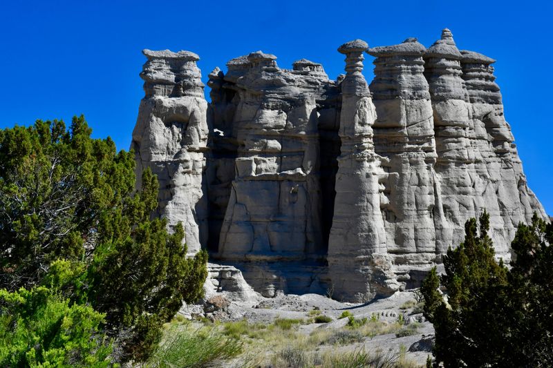 DSC_1009.jpg