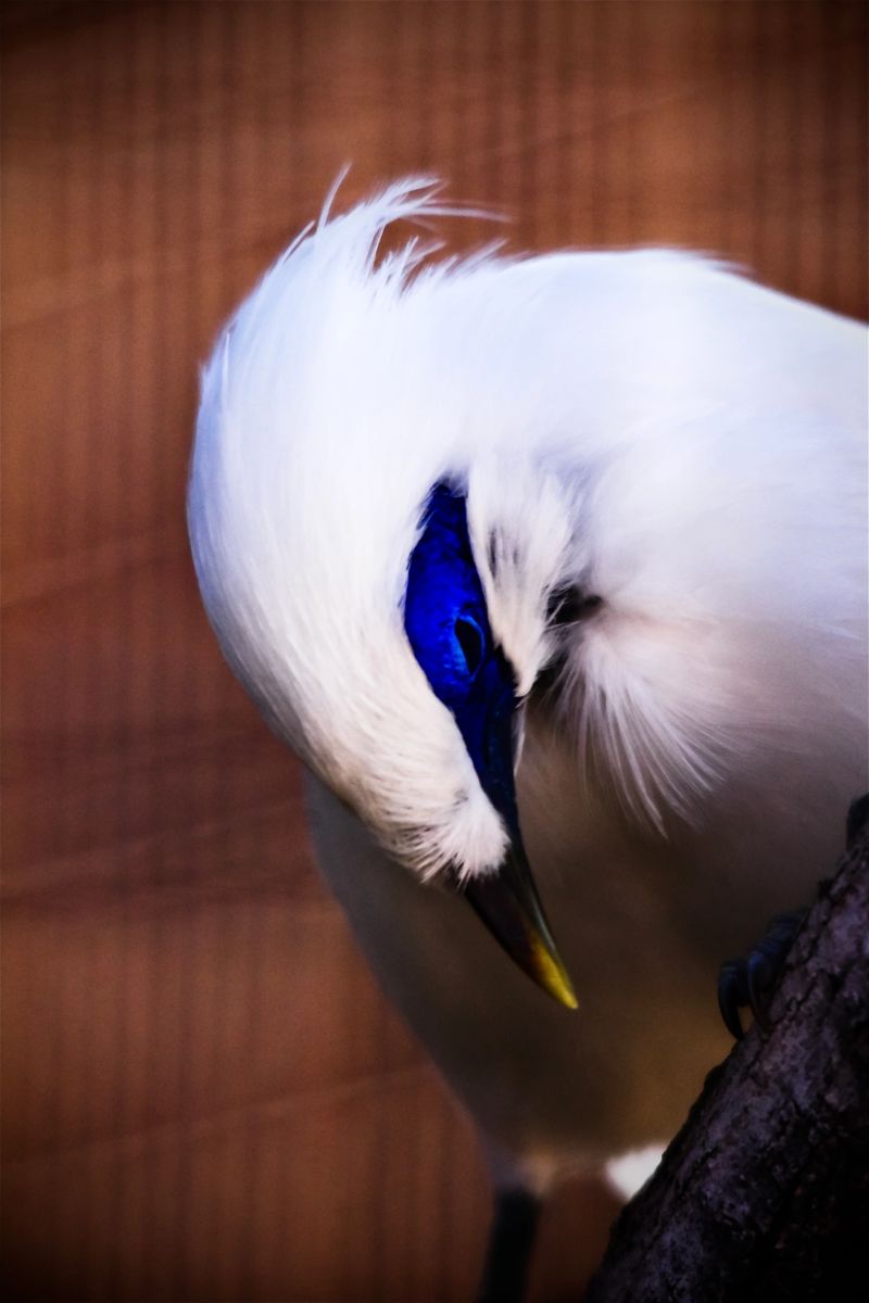 DSC_7998.jpg