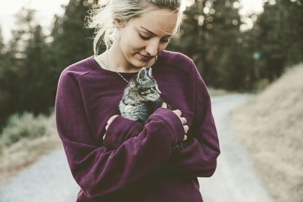 Paw it Forward Sanctuary, Nonprofit