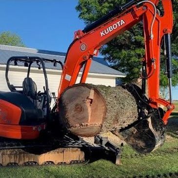 Kubota excavator lifting a large cut tree trunk outdoors.