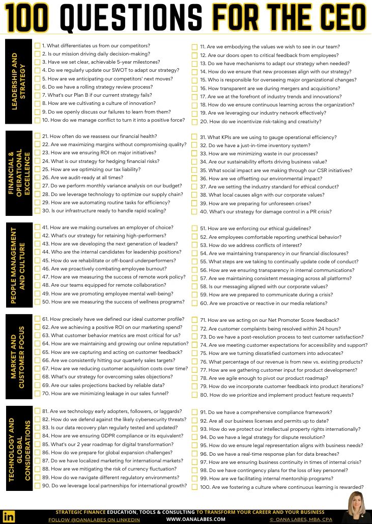 100 Questions for the CEO Checklist
