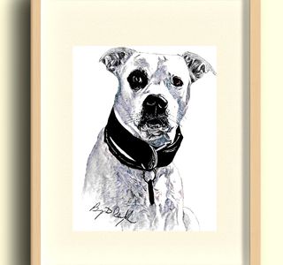 dog drawing pet portrait