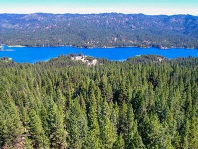 A vast forest with a large lake in the background.