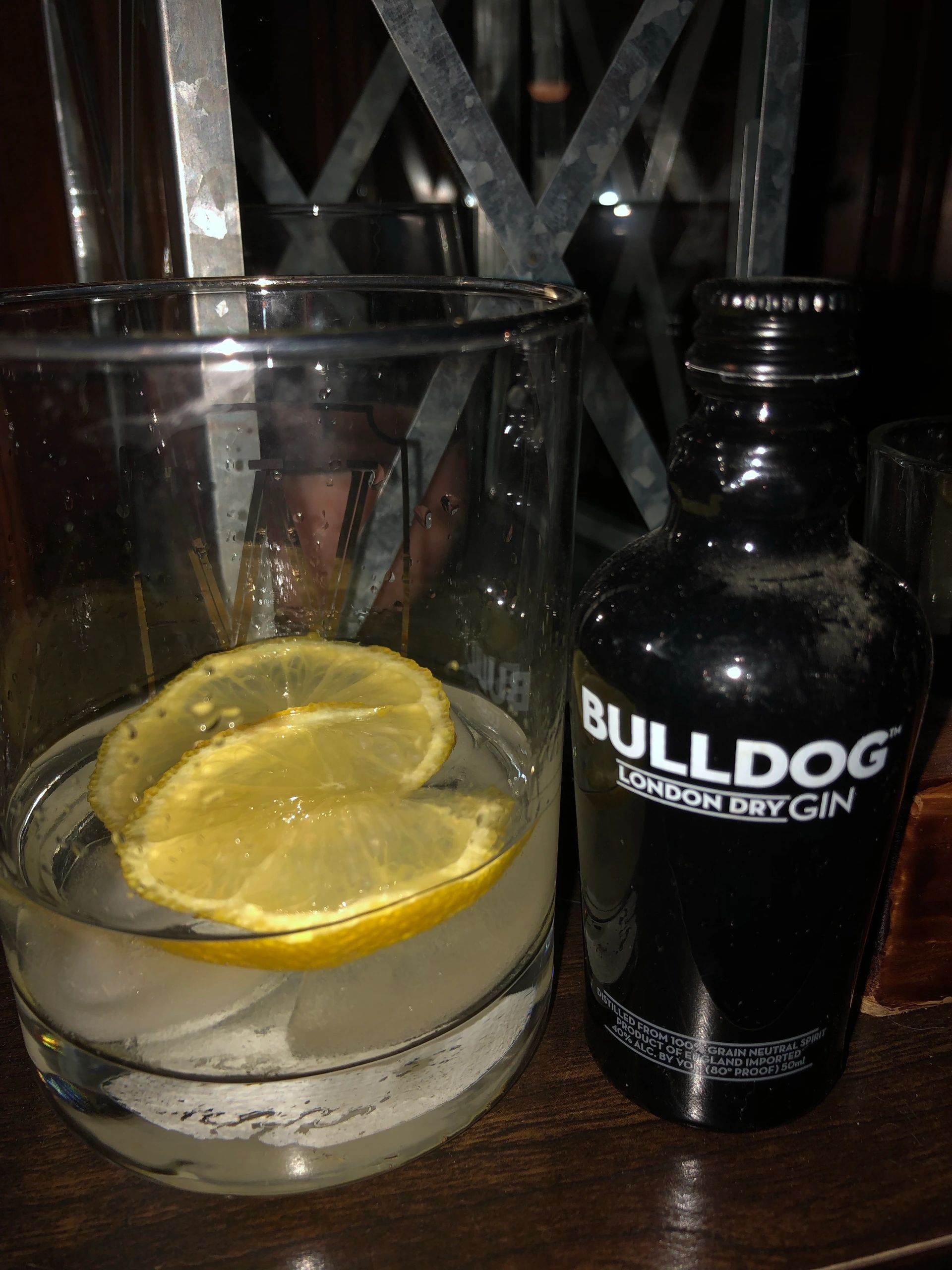 Gin with Ice and a Slice