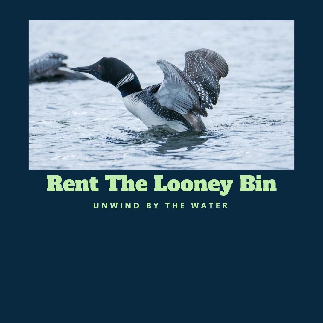 Rent The Looney Bin