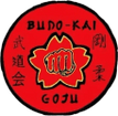 budokaiinternational.com