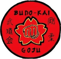 budokaiinternational.com