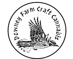 Downey Farm 
Craft Cannabis