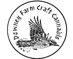 Downey Farm 
Craft Cannabis